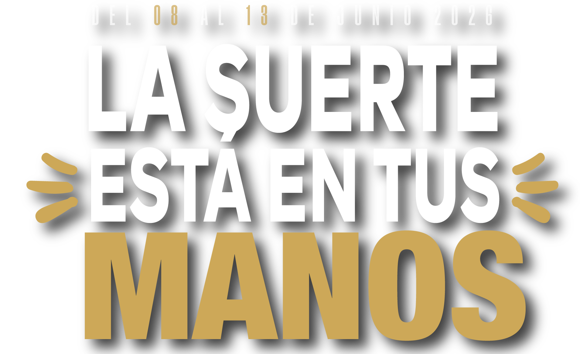15 Aniversario de La Feria Prolesa